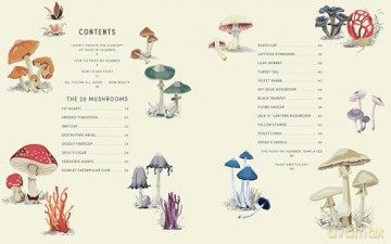 Coloready Mushrooms: 20 Modern Paint-by-Number Prints - A.K. Roxas [KSIĄŻKA]