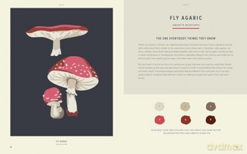 Coloready Mushrooms: 20 Modern Paint-by-Number Prints - A.K. Roxas [KSIĄŻKA]