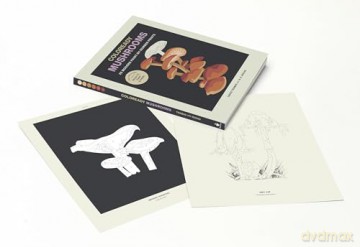 Coloready Mushrooms: 20 Modern Paint-by-Number Prints - A.K. Roxas [KSIĄŻKA]