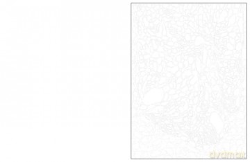 Colour and Discover: The Wild Ones: 28 Hidden Pictures to Reveal - Buster Books [KSIĄŻKA]