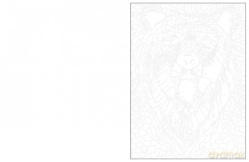 Colour and Discover: The Wild Ones: 28 Hidden Pictures to Reveal - Buster Books [KSIĄŻKA]