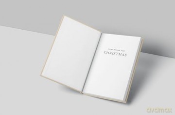 Come Home for Christmas: Jesus Is Calling You Back to the Greatest Story Ever Told - Matthew West [KSIĄŻKA]