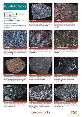 Common Rocks: Occasional Publication 78 (WildID) - Chris Pellant [KSIĄŻKA]
