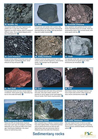 Common Rocks: Occasional Publication 78 (WildID) - Chris Pellant [KSIĄŻKA]