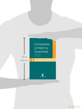 Companies Limited by Guarantee (Jordans Employment Law) - Josh Lewison [KSIĄŻKA]