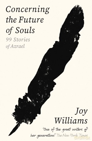 Concerning the Future of Souls: Ninety-Nine Stories of Azrael - Joy Williams [KSIĄŻKA]