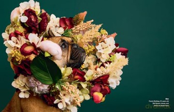 Cone of Shame: Elevated Looks That Will Turn Heads - Winnie Au [KSIĄŻKA]