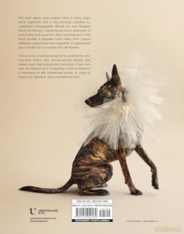 Cone of Shame: Elevated Looks That Will Turn Heads - Winnie Au [KSIĄŻKA]