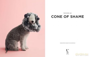 Cone of Shame: Elevated Looks That Will Turn Heads - Winnie Au [KSIĄŻKA]