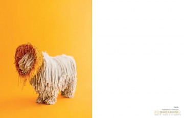 Cone of Shame: Elevated Looks That Will Turn Heads - Winnie Au [KSIĄŻKA]