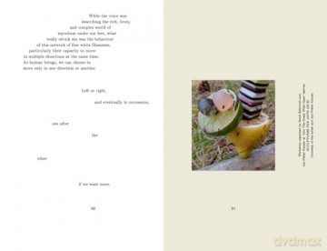 Configurations of Time: Imagining Other Temporalities in the Artist Residency - Angela Serino [KSIĄŻKA]