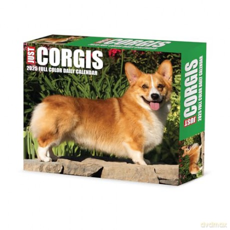 Corgis 2025 Box [KSIĄŻKA]