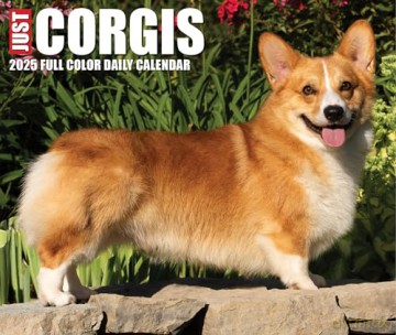 Corgis 2025 Box [KSIĄŻKA]