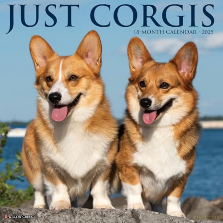 Corgis 2025 Wall [KSIĄŻKA]