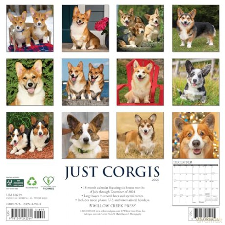Corgis 2025 Wall [KSIĄŻKA]