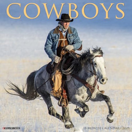 Cowboys 2025 Wall [KSIĄŻKA]