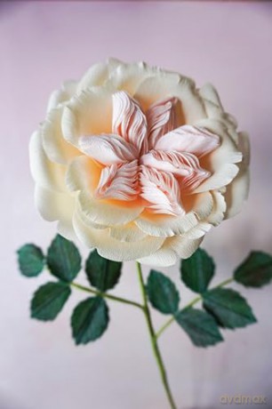 Crafting Paper Flowers: A Visual Guide to Breathtaking Botanicals - Emily Paluska [KSIĄŻKA]