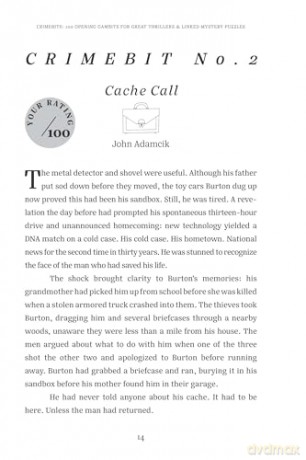 Crimebits: 100 Opening Gambits for Great Thrillers: Judged and Introduced by Lee Child and Luca Veste - Lee Child [KSIĄŻKA]