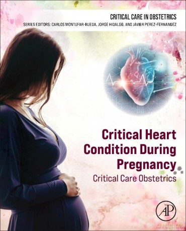 Critical Heart Condition During Pregnancy: Critical Care Obstetrics (Critical Care in Obstetrics) - Jorge Hidalgo MD MACP MCCM FCCP [KSIĄŻKA]