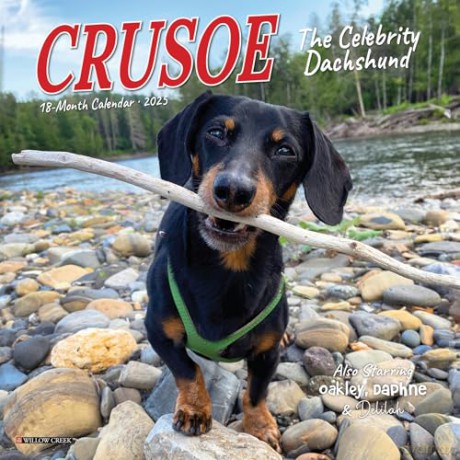 Crusoe the Celebrity Dachshund 2025 Mini [KSIĄŻKA]