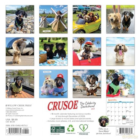 Crusoe the Celebrity Dachshund 2025 Mini [KSIĄŻKA]