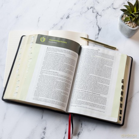 CSB Life Counsel Bible, Genuine Leather, Indexed: Practical Wisdom for All of Life - CSB Bibles by Holman [KSIĄŻKA]