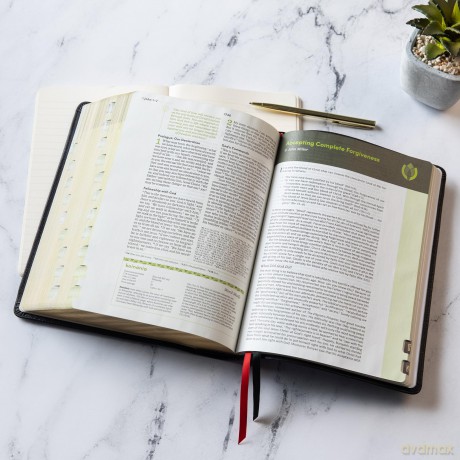 CSB Life Counsel Bible, Genuine Leather, Indexed: Practical Wisdom for All of Life - CSB Bibles by Holman [KSIĄŻKA]