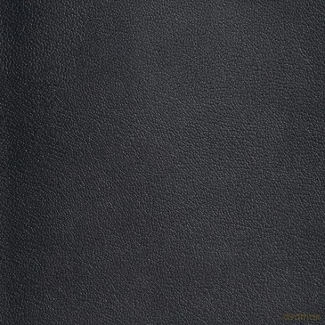 CSB Life Counsel Bible, Genuine Leather, Indexed: Practical Wisdom for All of Life - CSB Bibles by Holman [KSIĄŻKA]