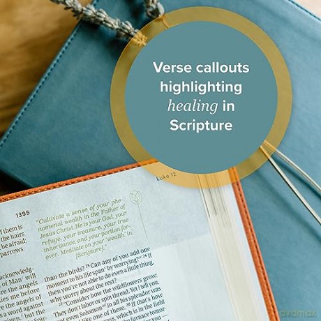 CSB Life Counsel Bible, Genuine Leather, Indexed: Practical Wisdom for All of Life - CSB Bibles by Holman [KSIĄŻKA]
