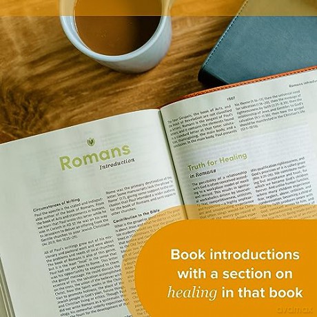 CSB Life Counsel Bible, Hardcover: Practical Wisdom for All of Life [KSIĄŻKA]