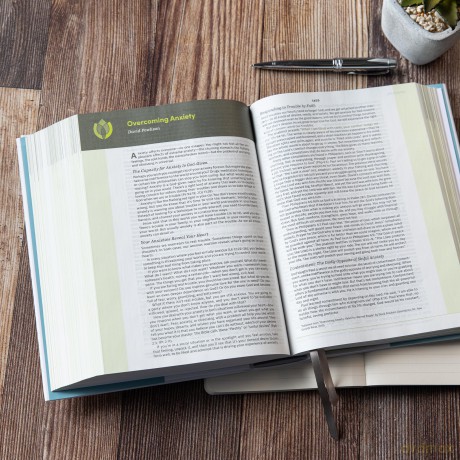 CSB Life Counsel Bible, Hardcover: Practical Wisdom for All of Life [KSIĄŻKA]