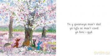 Cynan a'r Tymhorau (Pedwar Tymor Cynan) - Julia Rawlinson [KSIĄŻKA]