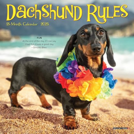 Dachshund Rules 2025 Mini [KSIĄŻKA]