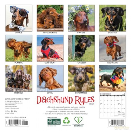 Dachshund Rules 2025 Mini [KSIĄŻKA]