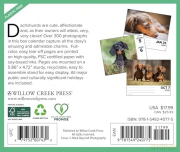 Dachshunds 2025 Box [KSIĄŻKA]