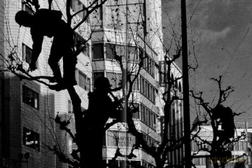 Daido Moriyama - Record 2 - Mark Holborn [KSIĄŻKA]