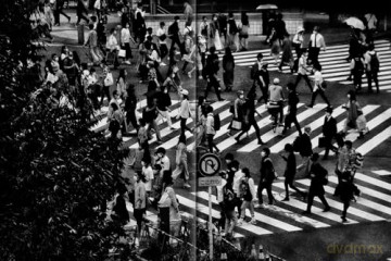Daido Moriyama - Record 2 - Mark Holborn [KSIĄŻKA]