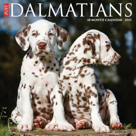Dalmatians 2025 Wall [KSIĄŻKA]