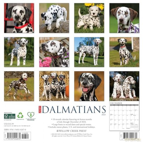 Dalmatians 2025 Wall [KSIĄŻKA]
