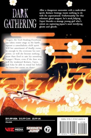 Dark Gathering, Vol. 8 (Volume 8) - Kenichi Kondo [KSIĄŻKA]