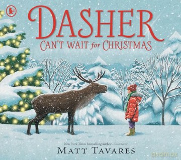 Dasher Can't Wait for Christmas: The magical sequel to the internationally bestselling Dasher - Matt Tavares [KSIĄŻKA]