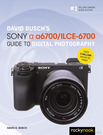 David Busch's Sony Alpha a6700/ILCE-6700 Guide to Digital Photography (The David Busch Camera Guide) - David Busch [KSIĄŻKA]