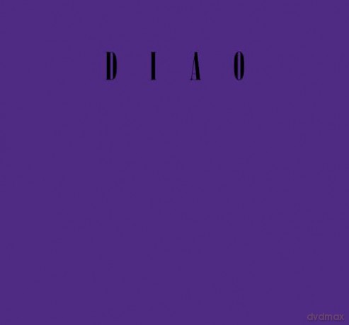 David Diao: On Barnett Newman: 1991-2023 - David Diao [KSIĄŻKA]
