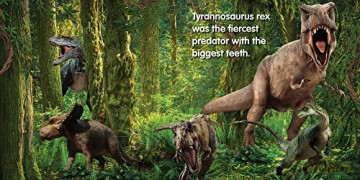 Dinosaurs: Board book [KSIĄŻKA]
