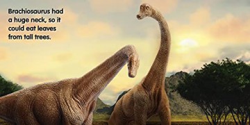 Dinosaurs: Board book [KSIĄŻKA]