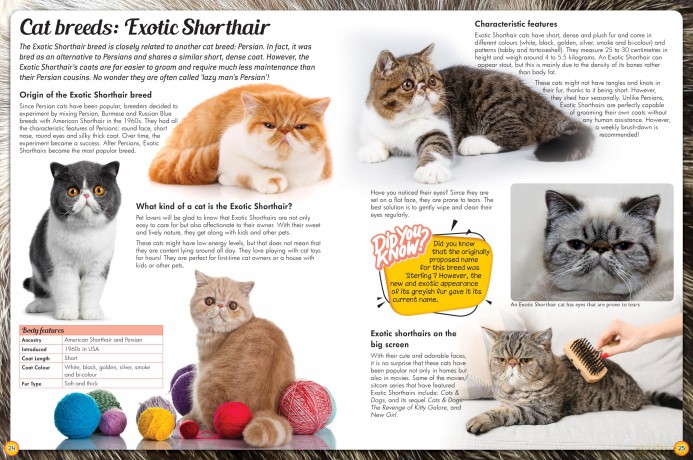 Discover an Encyclopedia of Cats: A Guide to Domestic Felines (Wonders of Learning Padded Foil Book) [KSIĄŻKA]