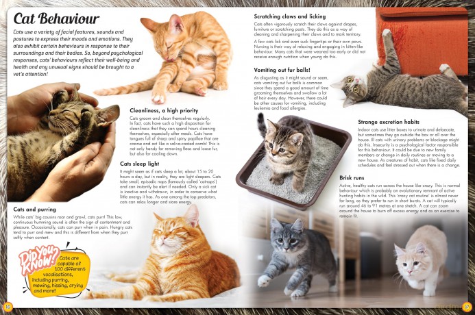 Discover an Encyclopedia of Cats: A Guide to Domestic Felines (Wonders of Learning Padded Foil Book) [KSIĄŻKA]
