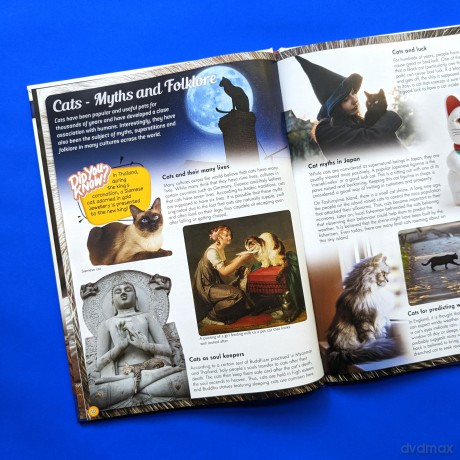 Discover an Encyclopedia of Cats: A Guide to Domestic Felines (Wonders of Learning Padded Foil Book) [KSIĄŻKA]