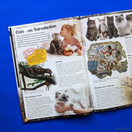 Discover an Encyclopedia of Cats: A Guide to Domestic Felines (Wonders of Learning Padded Foil Book) [KSIĄŻKA]