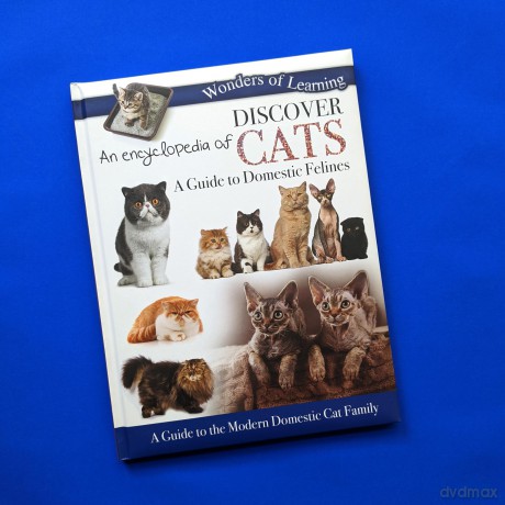 Discover an Encyclopedia of Cats: A Guide to Domestic Felines (Wonders of Learning Padded Foil Book) [KSIĄŻKA]